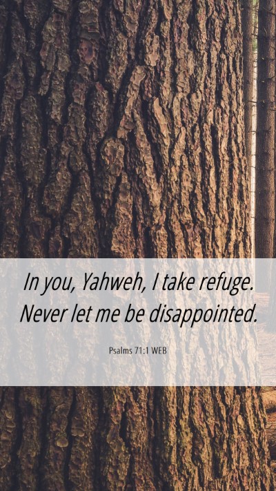 Picture 06 - Psalms 71:1 WEB Mobile Phone Wallpaper - In you, Yahweh, I take refuge. Never let me be - Mobile Bible Verse Wallpaper