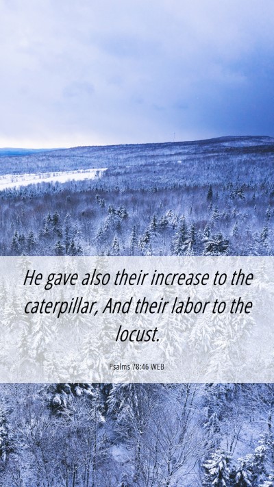 Picture 06 - Psalms 78:46 WEB Mobile Phone Wallpaper - He gave also their increase to the caterpillar, - Mobile Bible Verse Wallpaper