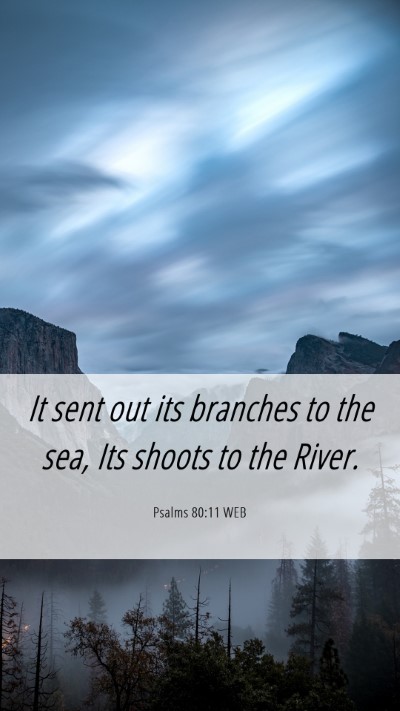 Picture 06 - Psalms 80:11 WEB Mobile Phone Wallpaper - It sent out its branches to the sea, Its shoots - Mobile Bible Verse Wallpaper