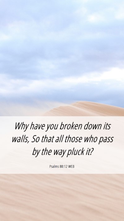 Picture 06 - Psalms 80:12 WEB Mobile Phone Wallpaper - Why have you broken down its walls, So that all - Mobile Bible Verse Wallpaper