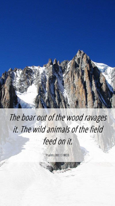 Picture 06 - Psalms 80:13 WEB Mobile Phone Wallpaper - The boar out of the wood ravages it. The wild - Mobile Bible Verse Wallpaper
