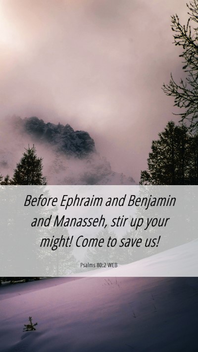 Picture 06 - Psalms 80:2 WEB Mobile Phone Wallpaper - Before Ephraim and Benjamin and Manasseh, stir up - Mobile Bible Verse Wallpaper