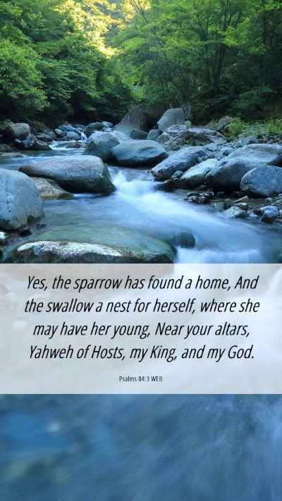 Picture 06 - Psalms 84:3 WEB Mobile Phone Wallpaper - Yes, the sparrow has found a home, And the - Mobile Bible Verse Wallpaper