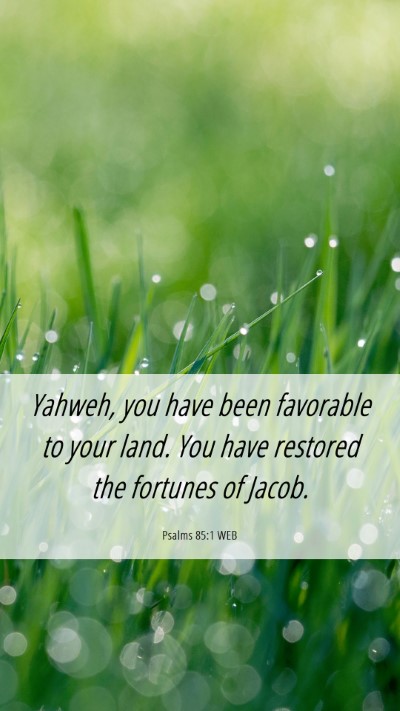 Picture 06 - Psalms 85:1 WEB Mobile Phone Wallpaper - Yahweh, you have been favorable to your land. You - Mobile Bible Verse Wallpaper
