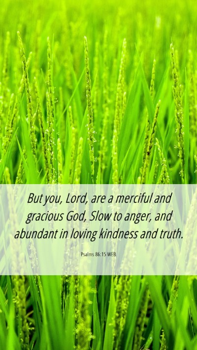 Picture 06 - Psalms 86:15 WEB Mobile Phone Wallpaper - But you, Lord, are a merciful and gracious God, - Mobile Bible Verse Wallpaper