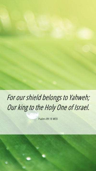 Picture 06 - Psalms 89:18 WEB Mobile Phone Wallpaper - For our shield belongs to Yahweh; Our king to the - Mobile Bible Verse Wallpaper
