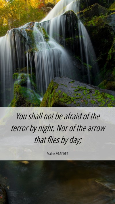 Picture 06 - Psalms 91:5 WEB Mobile Phone Wallpaper - You shall not be afraid of the terror by night, - Mobile Bible Verse Wallpaper