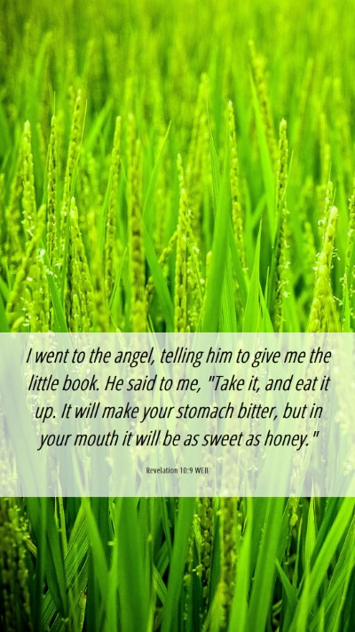 Picture 06 - Revelation 10:9 WEB Mobile Phone Wallpaper - I went to the angel, telling him to give me the - Mobile Bible Verse Wallpaper