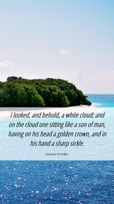 Picture 06 - Revelation 14:14 WEB Mobile Phone Wallpaper - I looked, and behold, a white cloud; and on the - Mobile Bible Verse Wallpaper