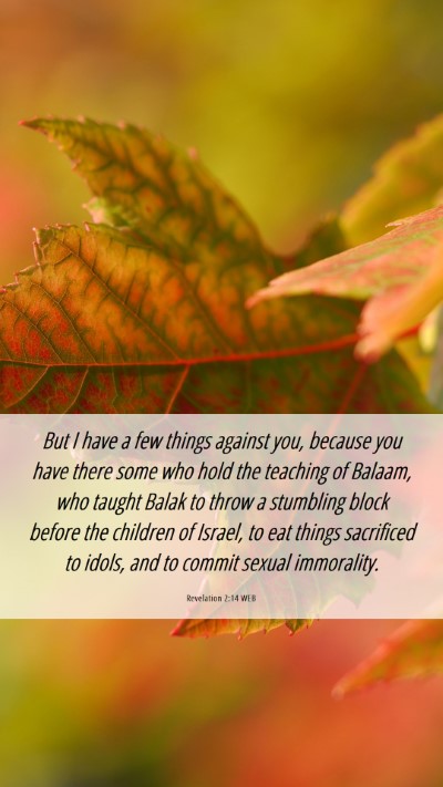 Picture 06 - Revelation 2:14 WEB Mobile Phone Wallpaper - But I have a few things against you, because you - Mobile Bible Verse Wallpaper