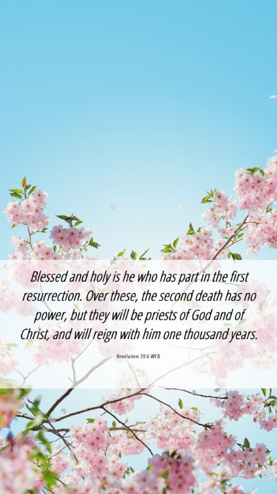 Picture 06 - Revelation 20:6 WEB Mobile Phone Wallpaper - Blessed and holy is he who has part in the first - Mobile Bible Verse Wallpaper
