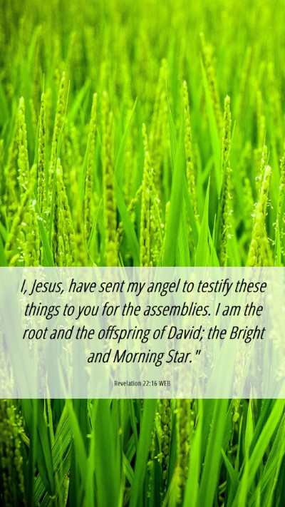 Picture 06 - Revelation 22:16 WEB Mobile Phone Wallpaper - I, Jesus, have sent my angel to testify these - Mobile Bible Verse Wallpaper