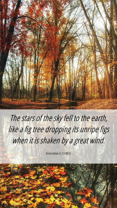 Picture 06 - Revelation 6:13 WEB Mobile Phone Wallpaper - The stars of the sky fell to the earth, like a - Mobile Bible Verse Wallpaper