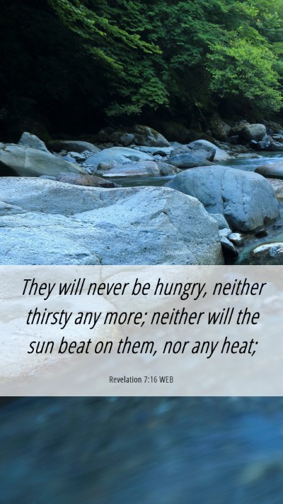 Picture 06 - Revelation 7:16 WEB Mobile Phone Wallpaper - They will never be hungry, neither thirsty any - Mobile Bible Verse Wallpaper