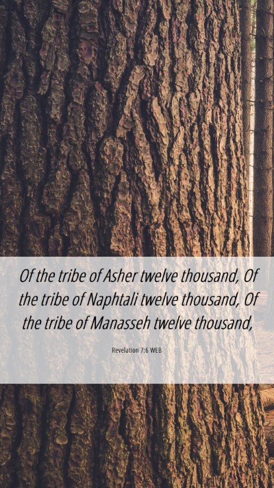 Picture 06 - Revelation 7:6 WEB Mobile Phone Wallpaper - Of the tribe of Asher twelve thousand, Of the - Mobile Bible Verse Wallpaper