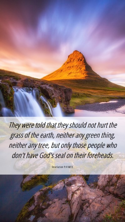 Picture 06 - Revelation 9:4 WEB Mobile Phone Wallpaper - They were told that they should not hurt the - Mobile Bible Verse Wallpaper