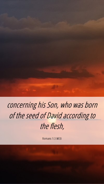Picture 06 - Romans 1:3 WEB Mobile Phone Wallpaper - concerning his Son, who was born of the seed of - Mobile Bible Verse Wallpaper