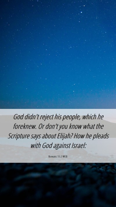 Picture 06 - Romans 11:2 WEB Mobile Phone Wallpaper - God didn't reject his people, which he foreknew. - Mobile Bible Verse Wallpaper
