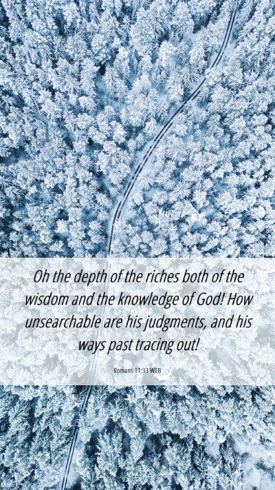 Picture 06 - Romans 11:33 WEB Mobile Phone Wallpaper - Oh the depth of the riches both of the wisdom and - Mobile Bible Verse Wallpaper