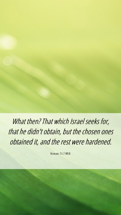 Picture 06 - Romans 11:7 WEB Mobile Phone Wallpaper - What then? That which Israel seeks for, that he - Mobile Bible Verse Wallpaper