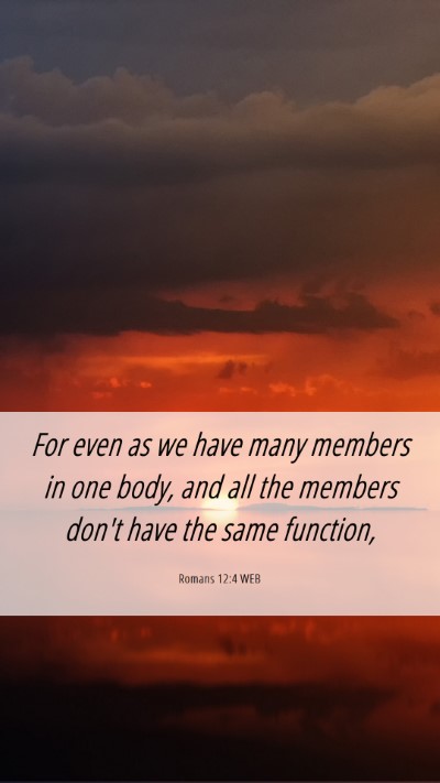 Picture 06 - Romans 12:4 WEB Mobile Phone Wallpaper - For even as we have many members in one body, and - Mobile Bible Verse Wallpaper