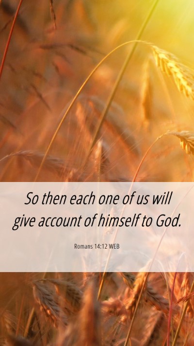 Picture 06 - Romans 14:12 WEB Mobile Phone Wallpaper - So then each one of us will give account of - Mobile Bible Verse Wallpaper