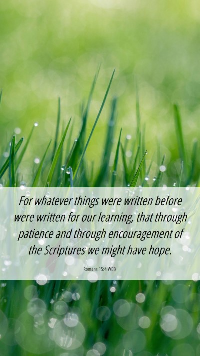Picture 06 - Romans 15:4 WEB Mobile Phone Wallpaper - For whatever things were written before were - Mobile Bible Verse Wallpaper