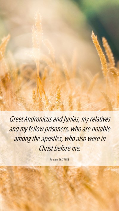 Picture 06 - Romans 16:7 WEB Mobile Phone Wallpaper - Greet Andronicus and Junias, my relatives and my - Mobile Bible Verse Wallpaper
