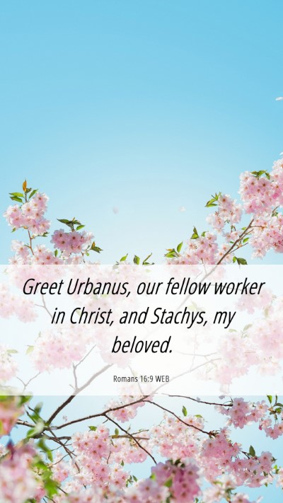 Picture 06 - Romans 16:9 WEB Mobile Phone Wallpaper - Greet Urbanus, our fellow worker in Christ, and - Mobile Bible Verse Wallpaper