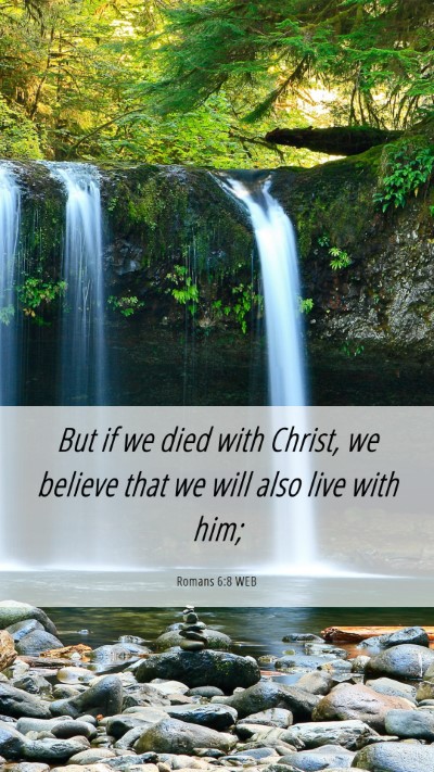 Picture 06 - Romans 6:8 WEB Mobile Phone Wallpaper - But if we died with Christ, we believe that we - Mobile Bible Verse Wallpaper