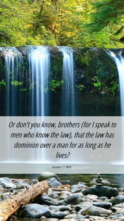 Picture 06 - Romans 7:1 WEB Mobile Phone Wallpaper - Or don't you know, brothers (for I speak to men - Mobile Bible Verse Wallpaper