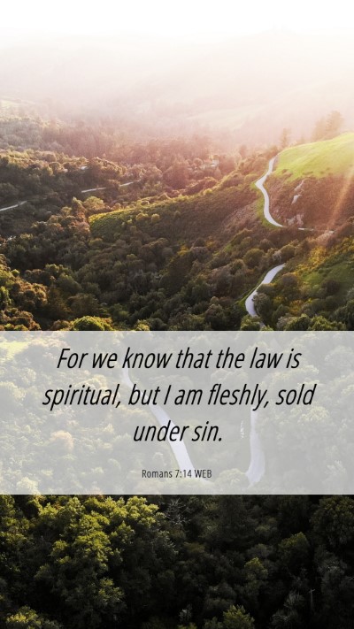 Picture 06 - Romans 7:14 WEB Mobile Phone Wallpaper - For we know that the law is spiritual, but I am - Mobile Bible Verse Wallpaper