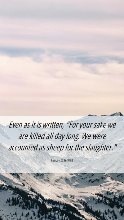 Picture 06 - Romans 8:36 WEB Mobile Phone Wallpaper - Even as it is written, 