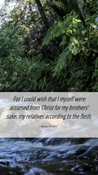 Picture 06 - Romans 9:3 WEB Mobile Phone Wallpaper - For I could wish that I myself were accursed from - Mobile Bible Verse Wallpaper