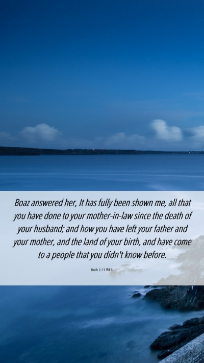 Picture 06 - Ruth 2:11 WEB Mobile Phone Wallpaper - Boaz answered her, It has fully been shown me, - Mobile Bible Verse Wallpaper