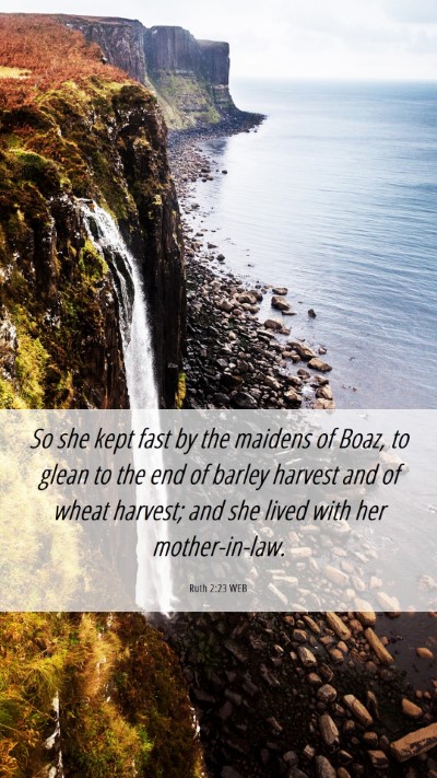 Picture 06 - Ruth 2:23 WEB Mobile Phone Wallpaper - So she kept fast by the maidens of Boaz, to glean - Mobile Bible Verse Wallpaper
