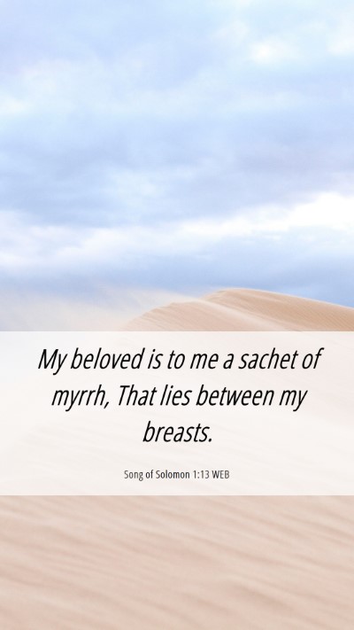 Picture 06 - Song of Solomon 1:13 WEB Mobile Phone Wallpaper - My beloved is to me a sachet of myrrh, That lies - Mobile Bible Verse Wallpaper