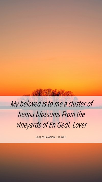 Picture 06 - Song of Solomon 1:14 WEB Mobile Phone Wallpaper - My beloved is to me a cluster of henna blossoms - Mobile Bible Verse Wallpaper