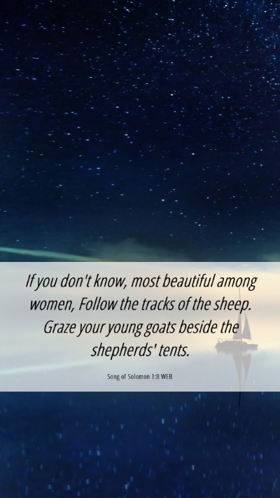 Picture 06 - Song of Solomon 1:8 WEB Mobile Phone Wallpaper - If you don't know, most beautiful among women, - Mobile Bible Verse Wallpaper