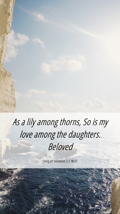 Picture 06 - Song of Solomon 2:2 WEB Mobile Phone Wallpaper - As a lily among thorns, So is my love among the - Mobile Bible Verse Wallpaper