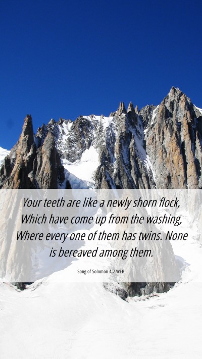 Picture 06 - Song of Solomon 4:2 WEB Mobile Phone Wallpaper - Your teeth are like a newly shorn flock, Which - Mobile Bible Verse Wallpaper