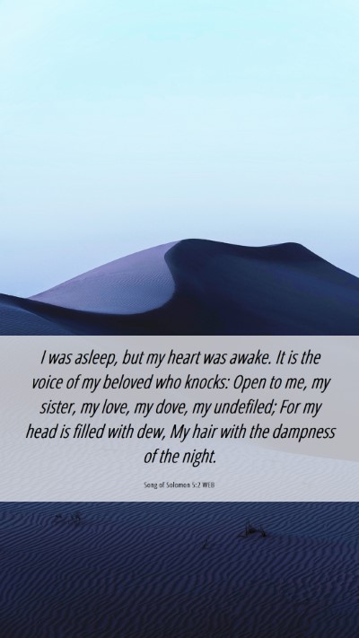 Picture 06 - Song of Solomon 5:2 WEB Mobile Phone Wallpaper - I was asleep, but my heart was awake. It is the - Mobile Bible Verse Wallpaper