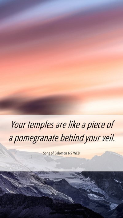 Picture 06 - Song of Solomon 6:7 WEB Mobile Phone Wallpaper - Your temples are like a piece of a pomegranate - Mobile Bible Verse Wallpaper