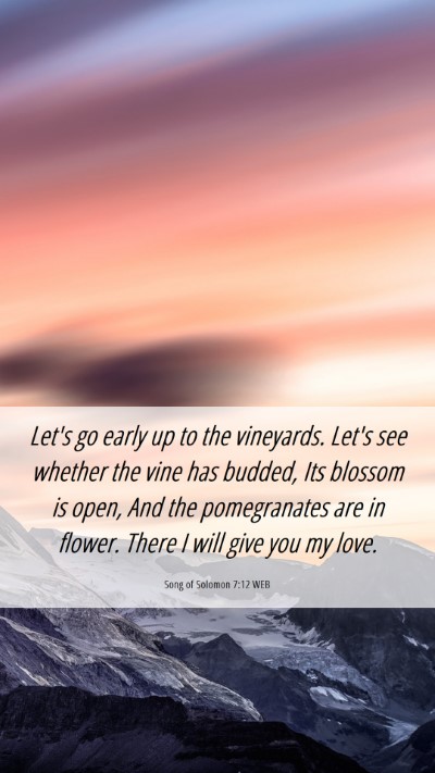 Picture 06 - Song of Solomon 7:12 WEB Mobile Phone Wallpaper - Let's go early up to the vineyards. Let's see - Mobile Bible Verse Wallpaper