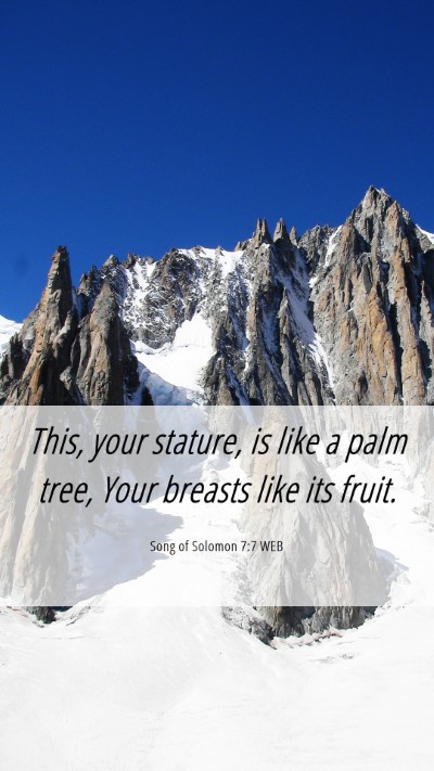 Picture 06 - Song of Solomon 7:7 WEB Mobile Phone Wallpaper - This, your stature, is like a palm tree, Your - Mobile Bible Verse Wallpaper