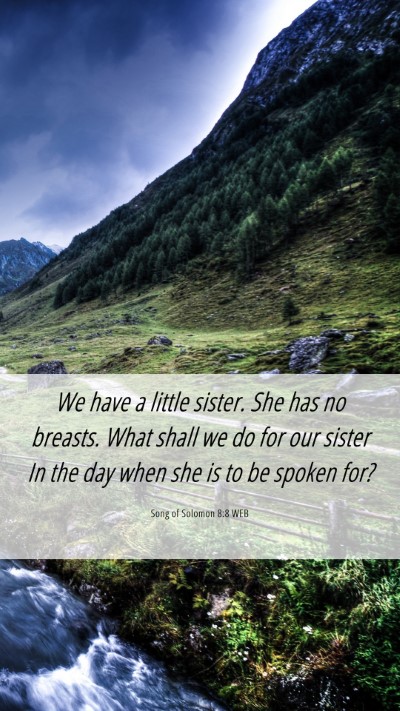Picture 06 - Song of Solomon 8:8 WEB Mobile Phone Wallpaper - We have a little sister. She has no breasts. What - Mobile Bible Verse Wallpaper