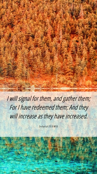 Picture 06 - Zechariah 10:8 WEB Mobile Phone Wallpaper - I will signal for them, and gather them; For I - Mobile Bible Verse Wallpaper