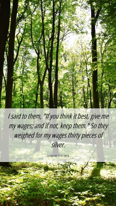 Picture 06 - Zechariah 11:12 WEB Mobile Phone Wallpaper - I said to them, 