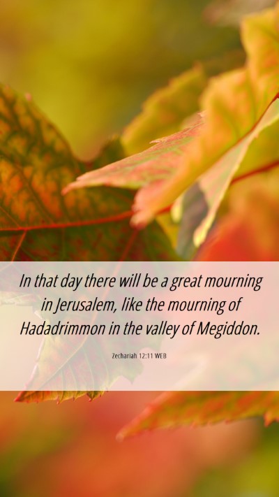 Picture 06 - Zechariah 12:11 WEB Mobile Phone Wallpaper - In that day there will be a great mourning in - Mobile Bible Verse Wallpaper