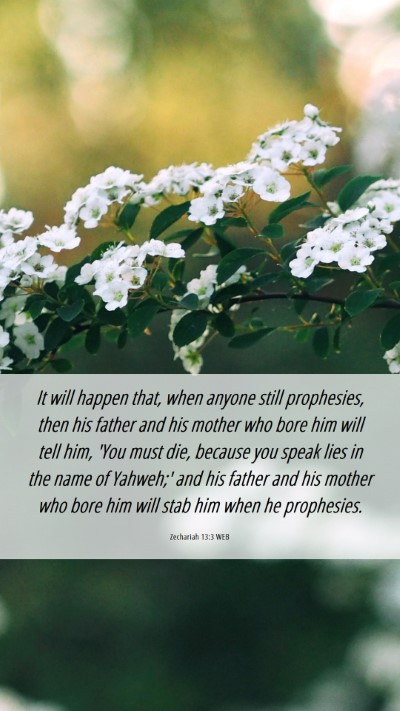 Picture 06 - Zechariah 13:3 WEB Mobile Phone Wallpaper - It will happen that, when anyone still - Mobile Bible Verse Wallpaper